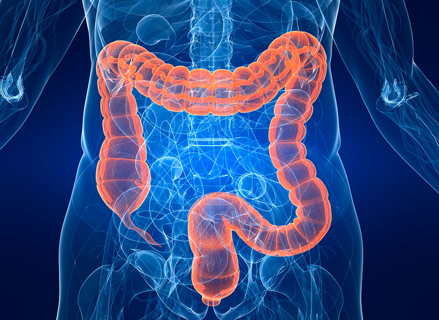 Consejos y guías de un proctólogo experto sobre salud rectal